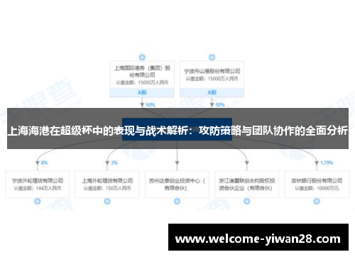 上海海港在超级杯中的表现与战术解析：攻防策略与团队协作的全面分析