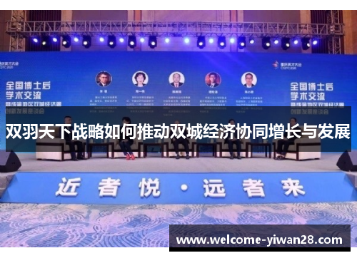双羽天下战略如何推动双城经济协同增长与发展