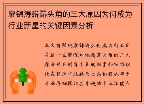廖锦涛崭露头角的三大原因为何成为行业新星的关键因素分析
