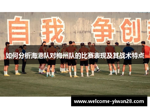 如何分析海港队对梅州队的比赛表现及其战术特点
