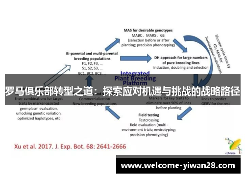 罗马俱乐部转型之道：探索应对机遇与挑战的战略路径